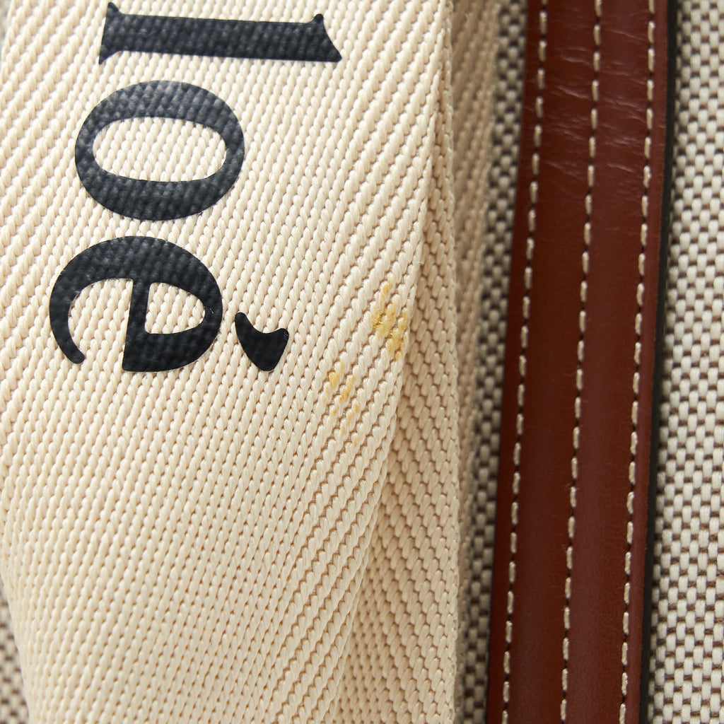 chloe-canvas-tote-shoulder-bag
