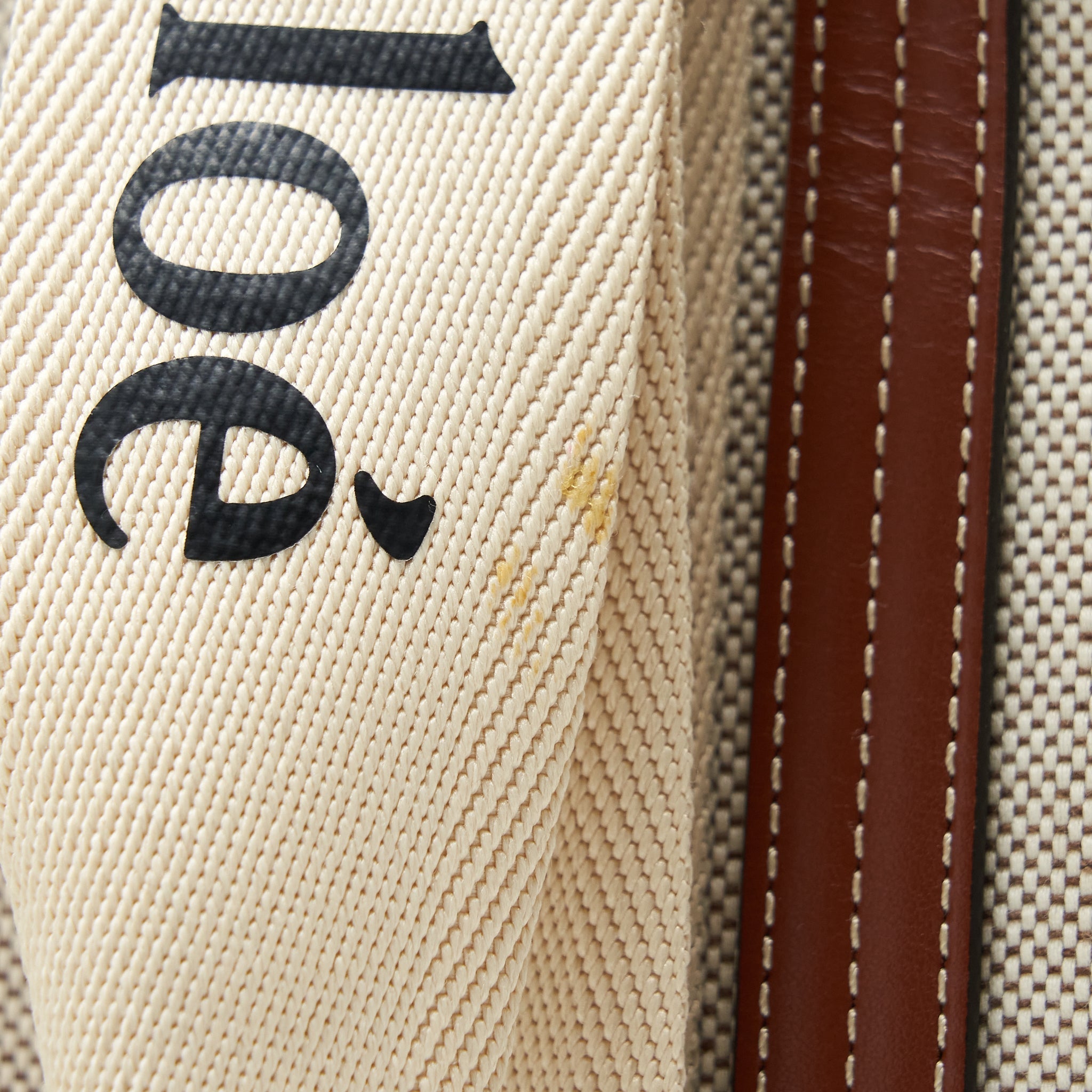 chloe-canvas-tote-shoulder-bag