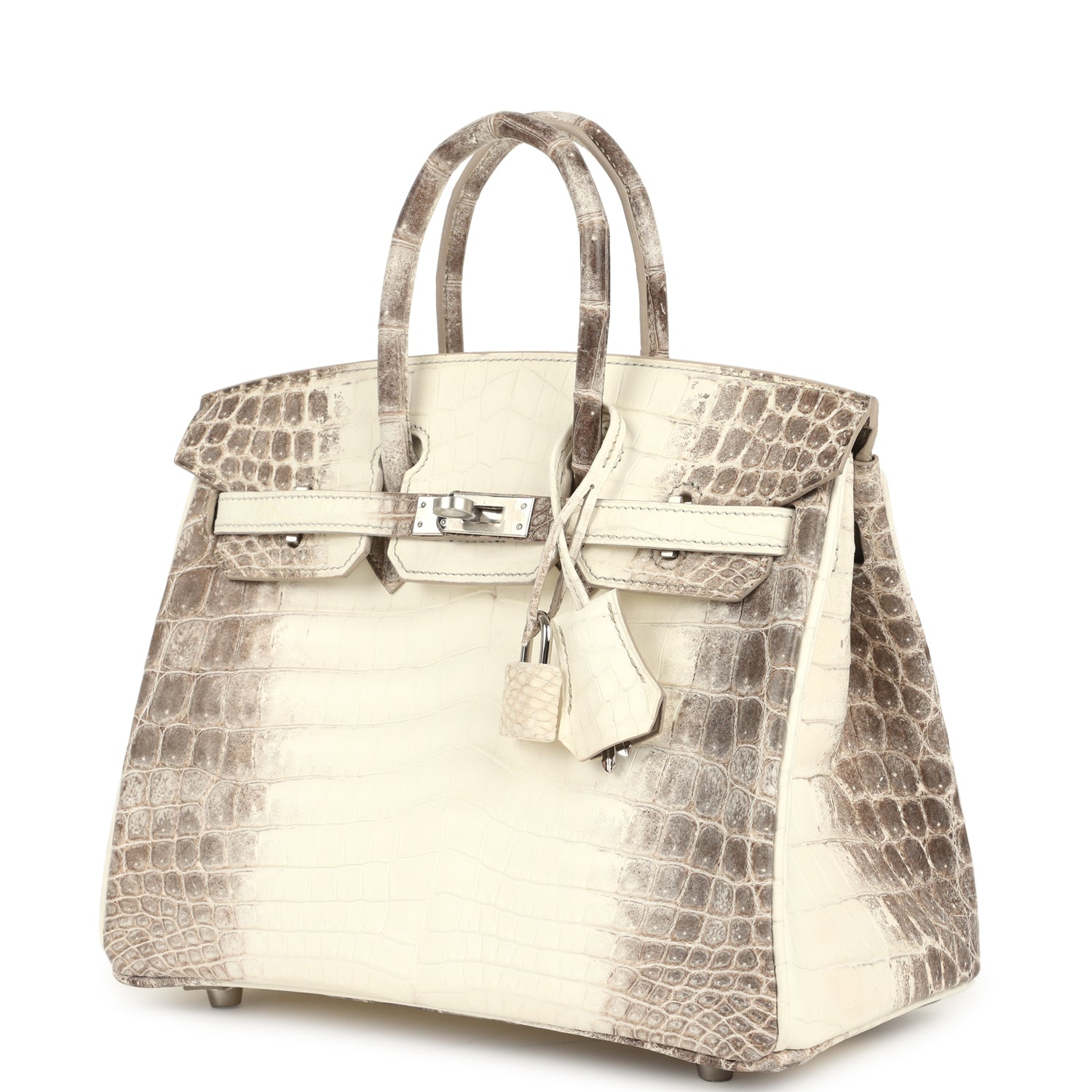 Birkin 25 Himalaya Niloticus Crocodile Palladium Hardware Bag