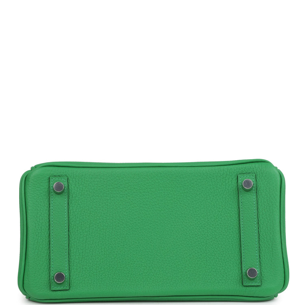 Birkin 25 Bambou Togo Palladium Hardware Bag