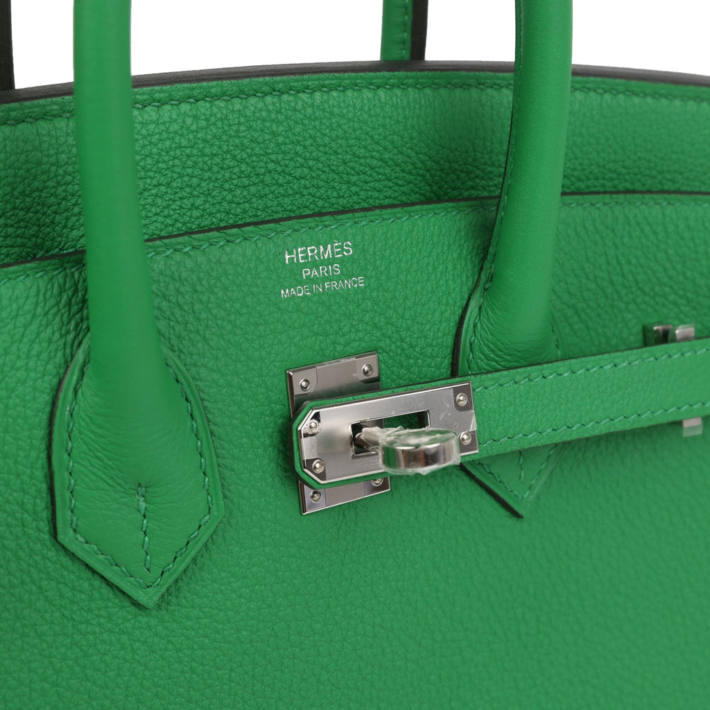 Birkin 25 Bambou Togo Palladium Hardware Bag