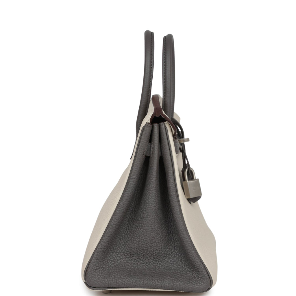 Birkin 25 Beton and Etain Togo Brushed Palladium Hardware Bag