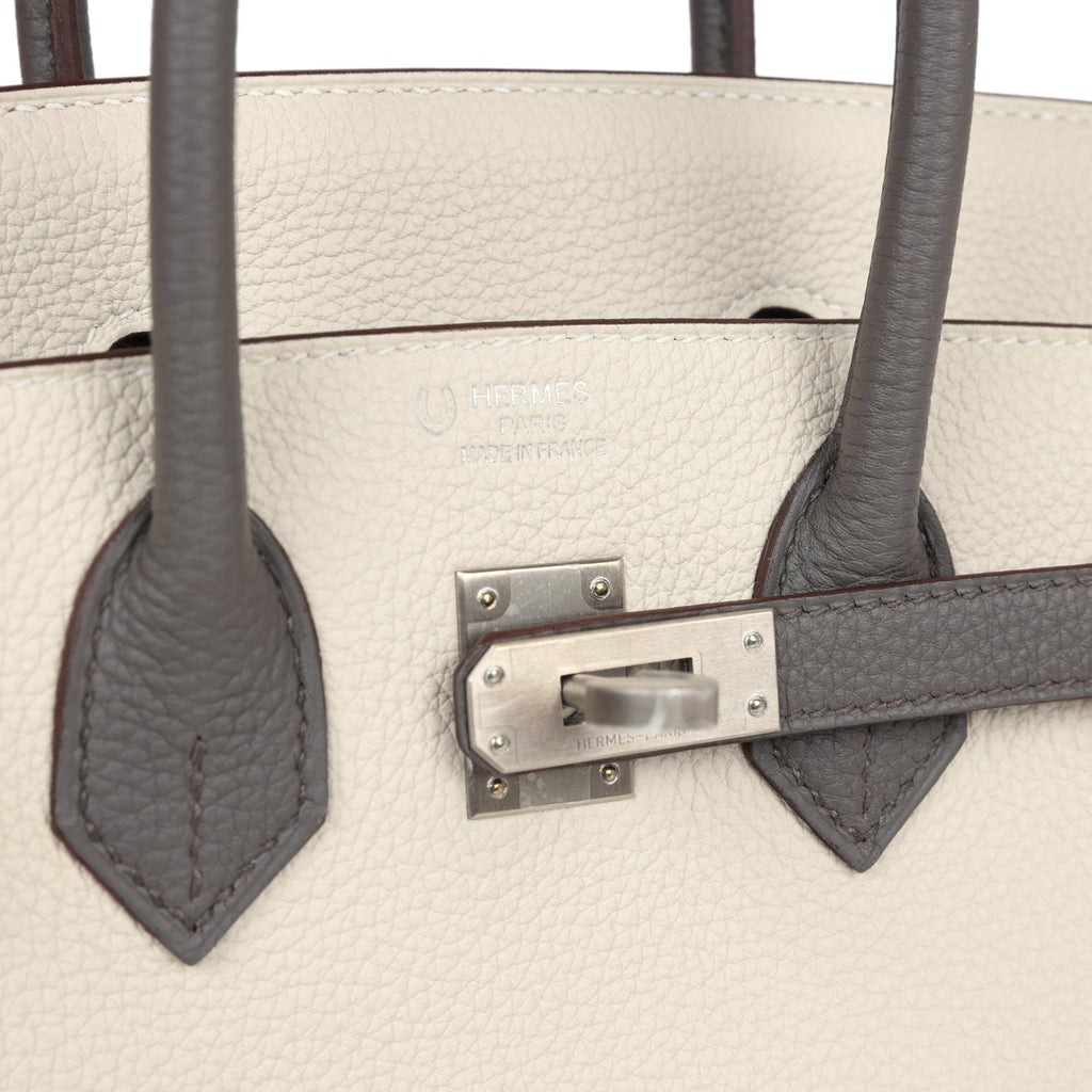 Birkin 25 Beton and Etain Togo Brushed Palladium Hardware Bag