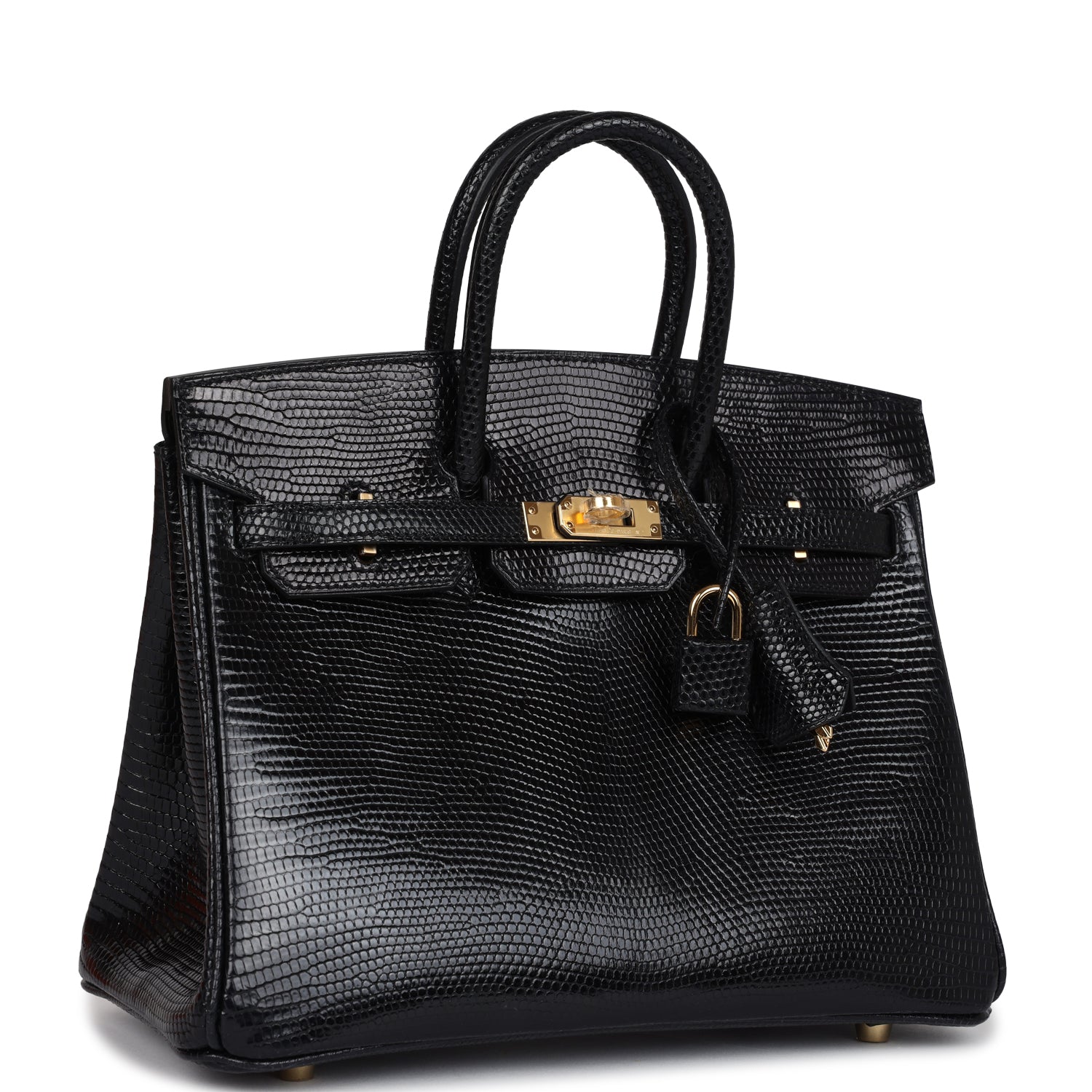 Birkin 25 Black Shiny Varanus Niloticus Lizard Gold Hardware Bag