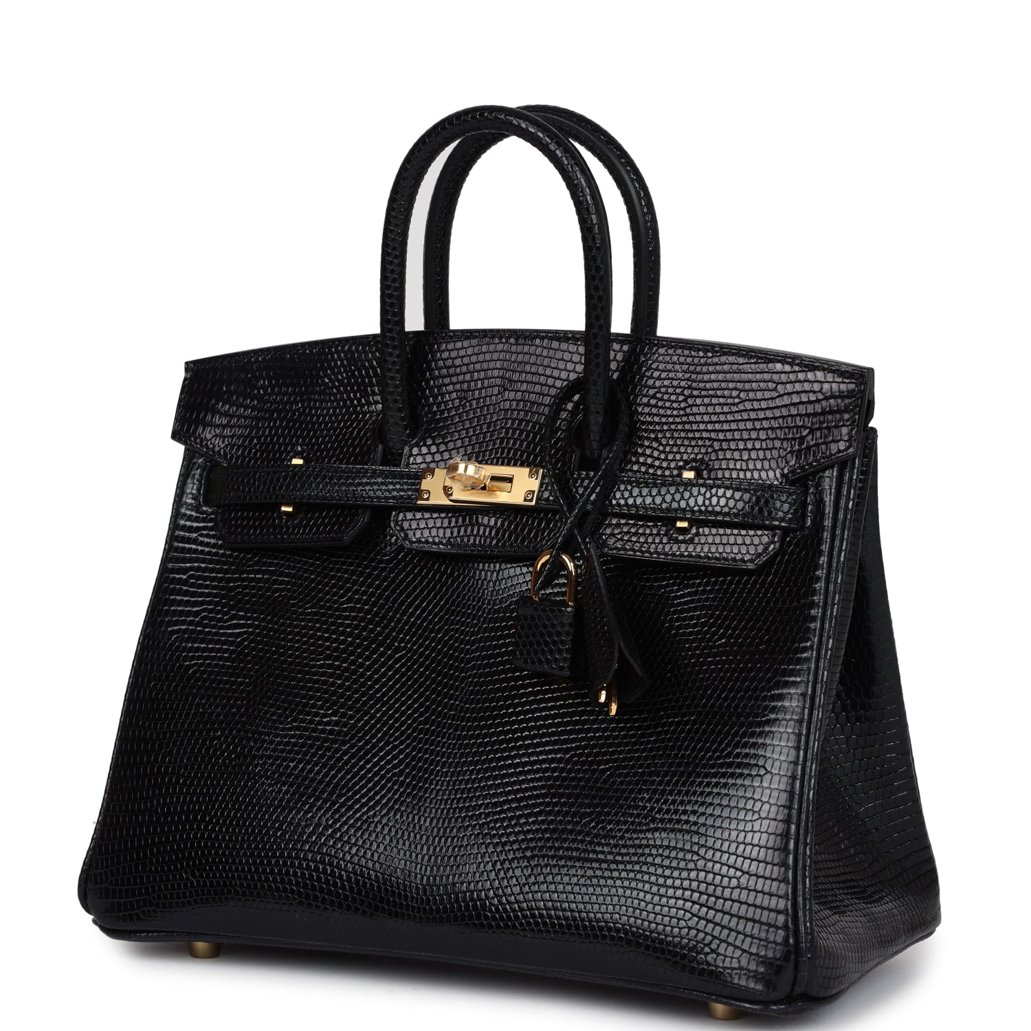 Birkin 25 Black Shiny Varanus Niloticus Lizard Gold Hardware Bag