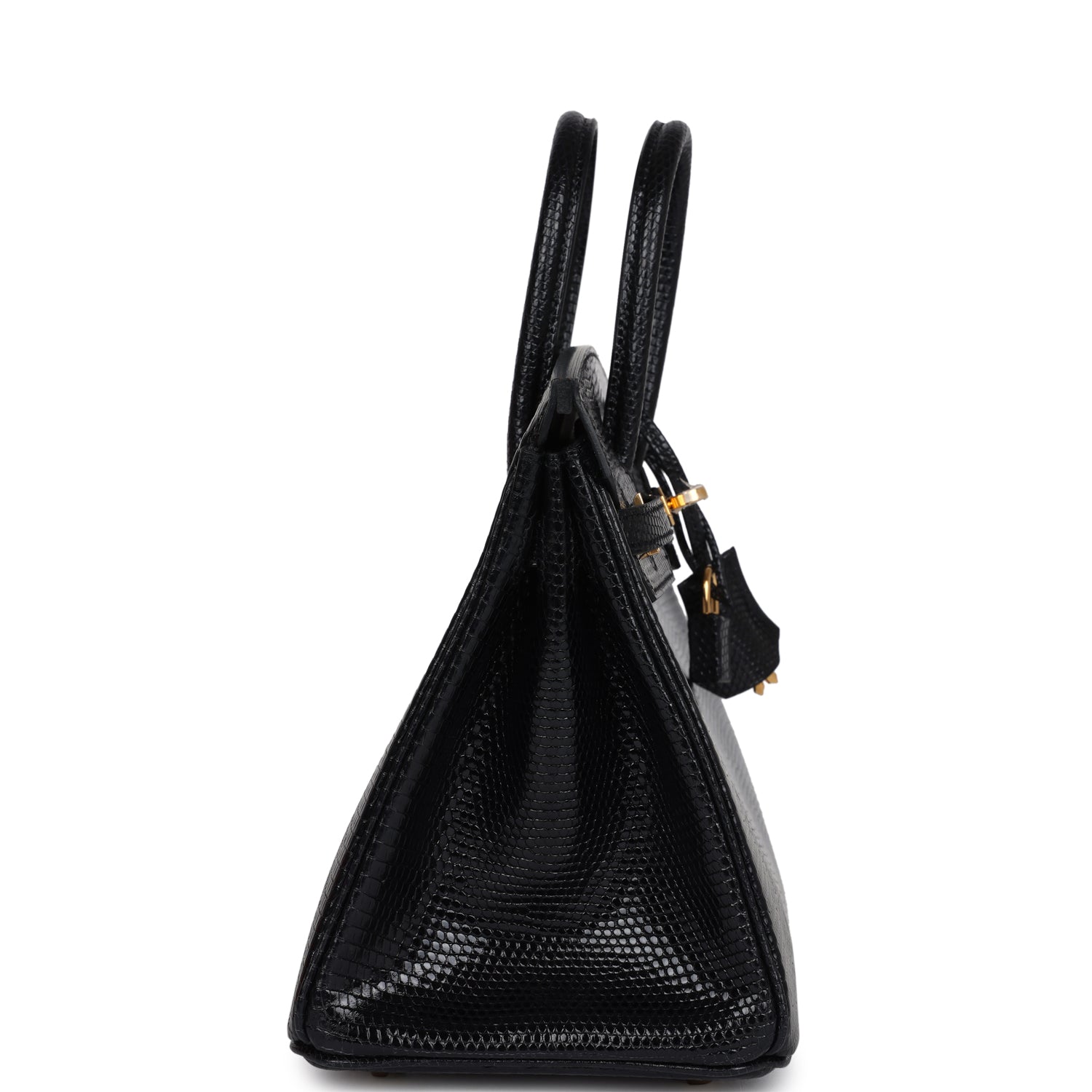 Birkin 25 Black Shiny Varanus Niloticus Lizard Gold Hardware Bag