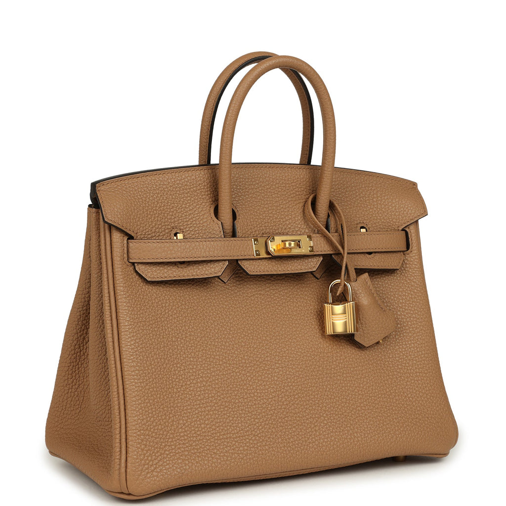 Birkin 25 Chai Togo Gold Hardware Bag