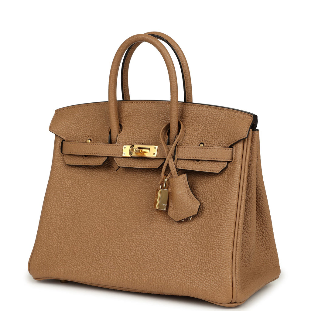 Birkin 25 Chai Togo Gold Hardware Bag