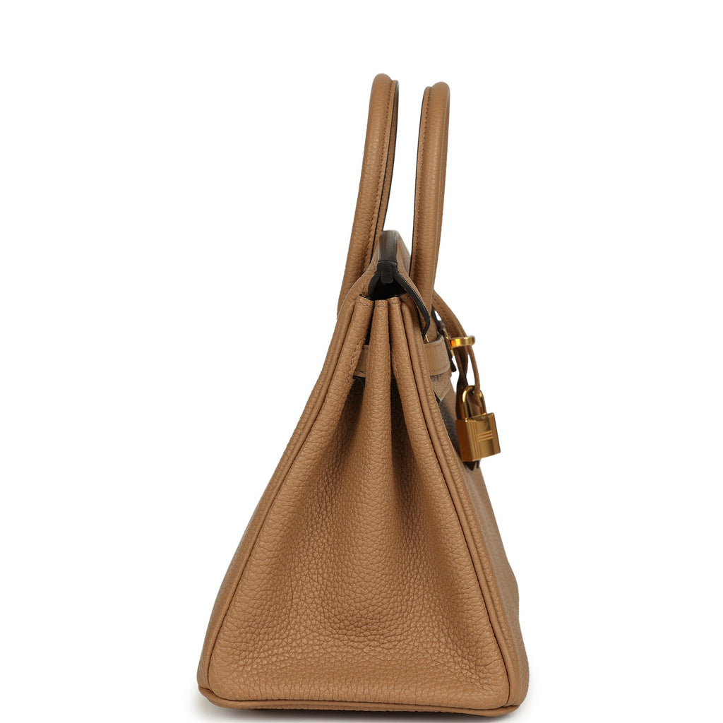 Birkin 25 Chai Togo Gold Hardware Bag