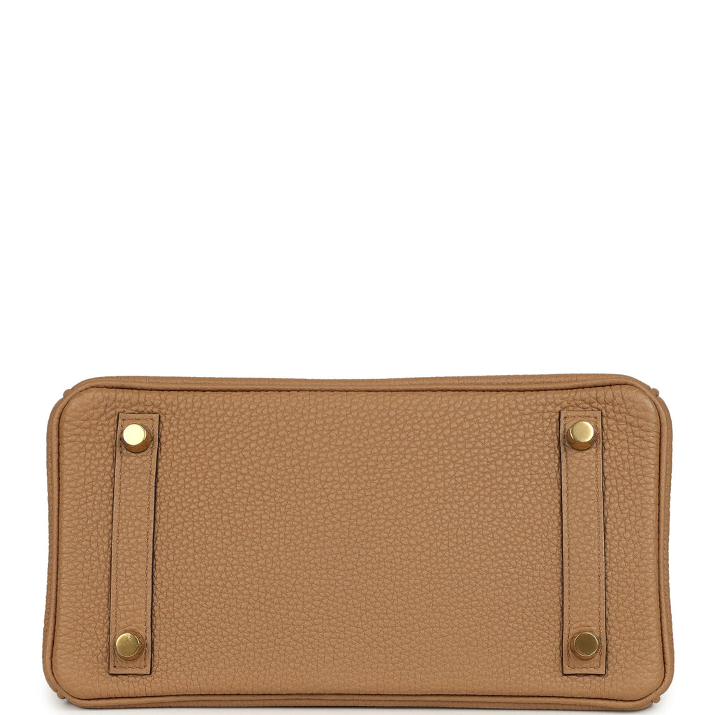 Birkin 25 Chai Togo Gold Hardware Bag