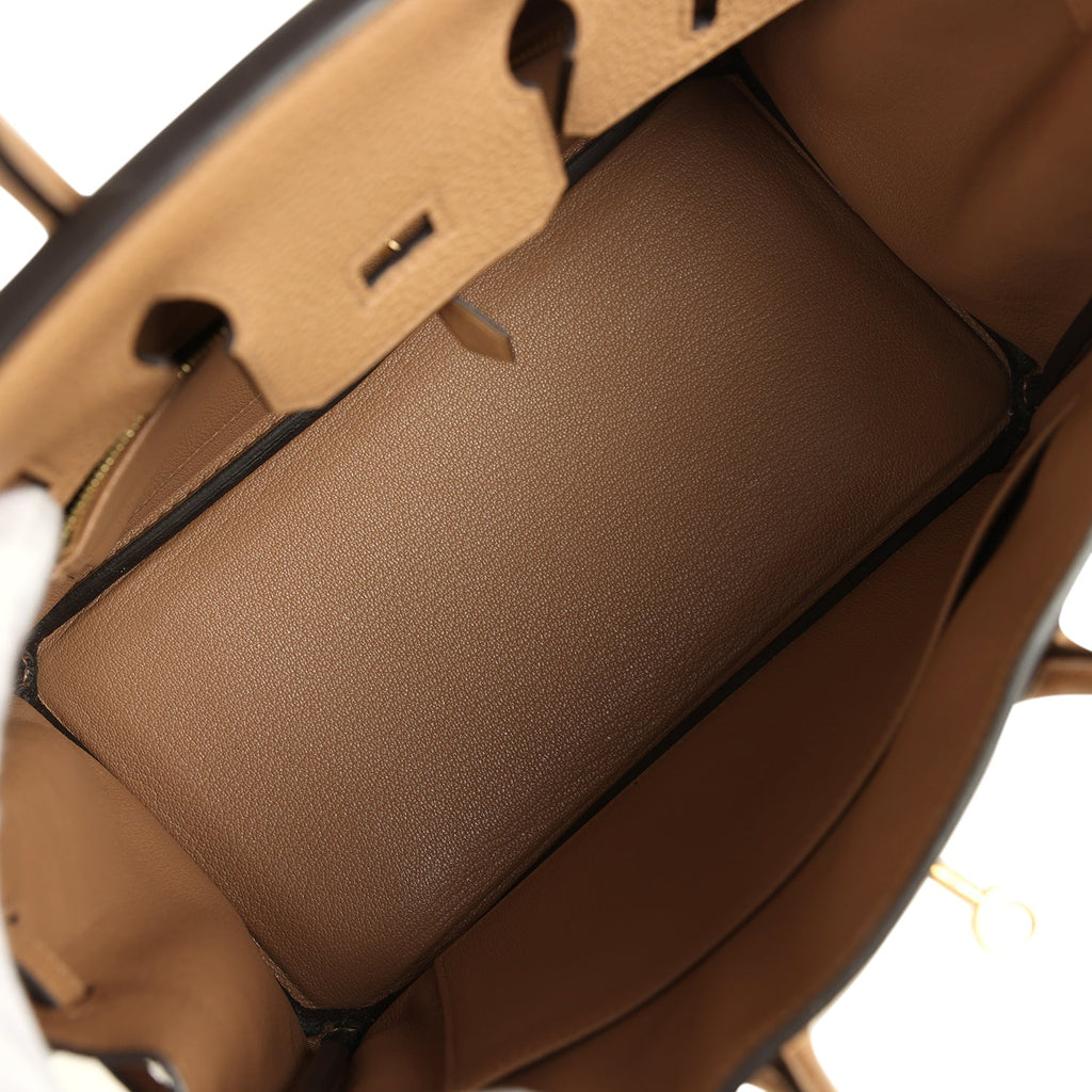 Birkin 25 Chai Togo Gold Hardware Bag
