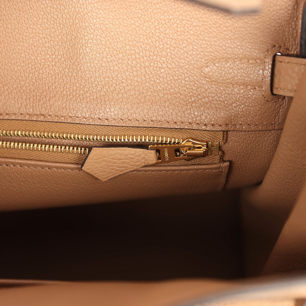 Birkin 25 Chai Togo Gold Hardware Bag