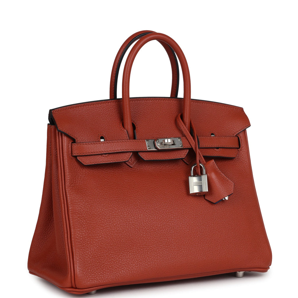 Birkin 25 Cuirve Verso Taurillon Novillo Palladium Hardware Bag