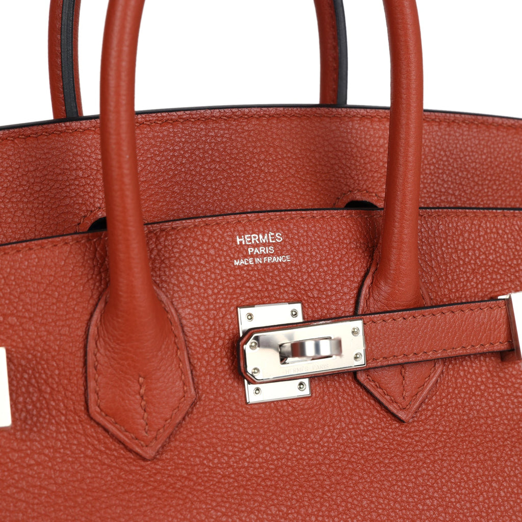 Birkin 25 Cuirve Verso Taurillon Novillo Palladium Hardware Bag