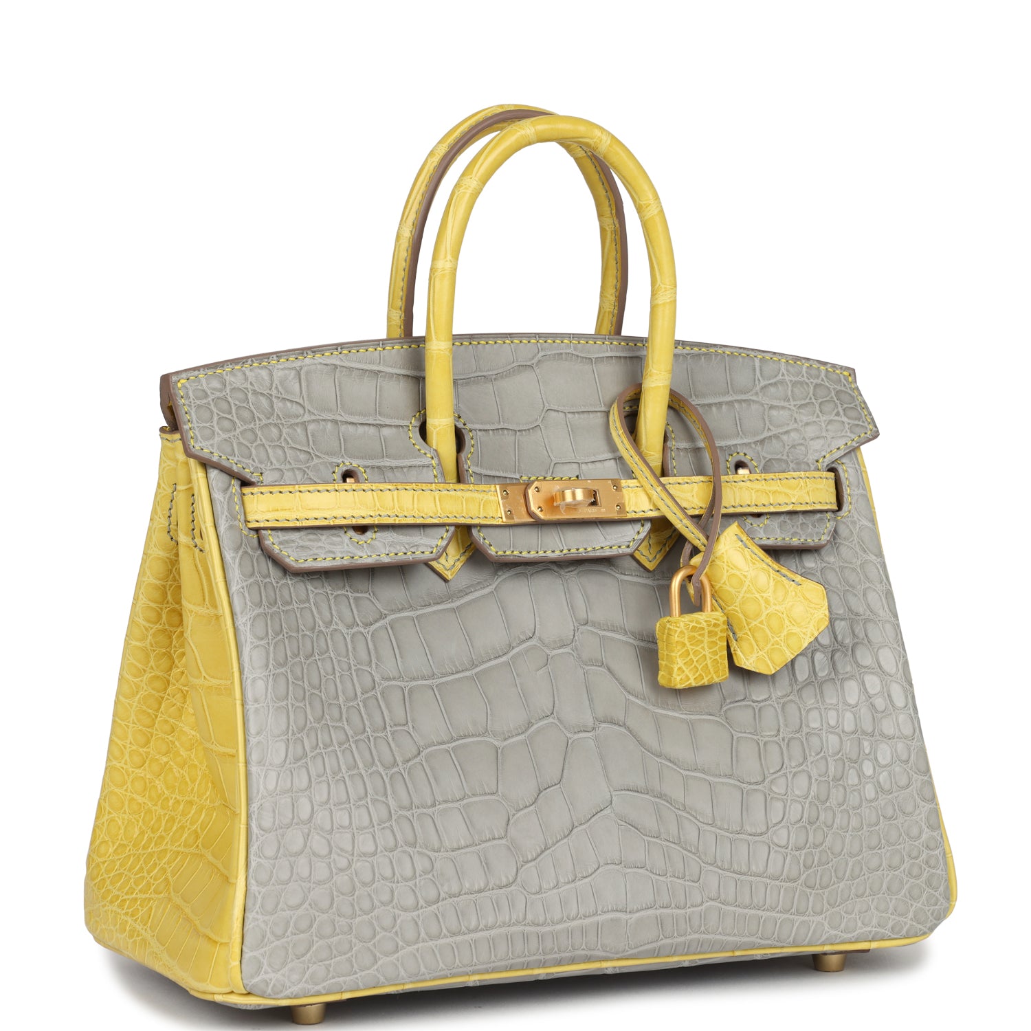 Birkin 25 Gris Perle and Mimosa Matte Alligator Brushed Gold Hardware Bag