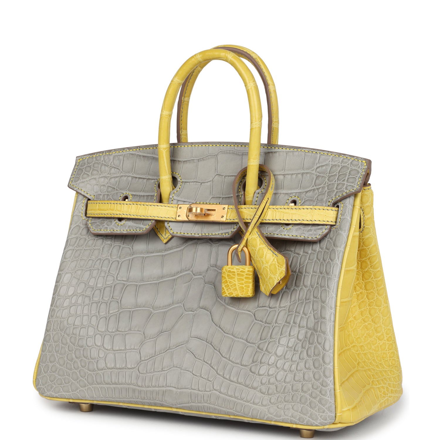 Birkin 25 Gris Perle and Mimosa Matte Alligator Brushed Gold Hardware Bag