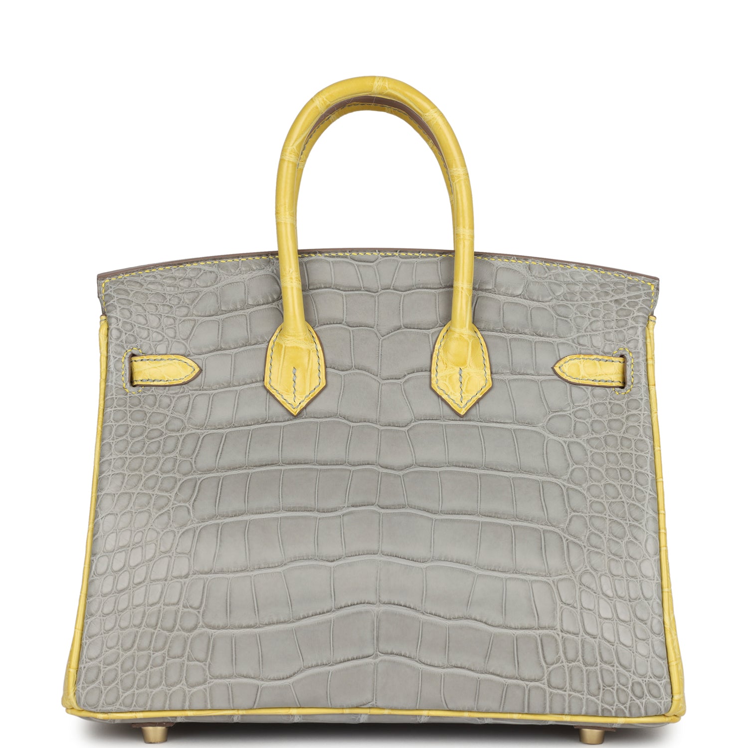 Birkin 25 Gris Perle and Mimosa Matte Alligator Brushed Gold Hardware Bag