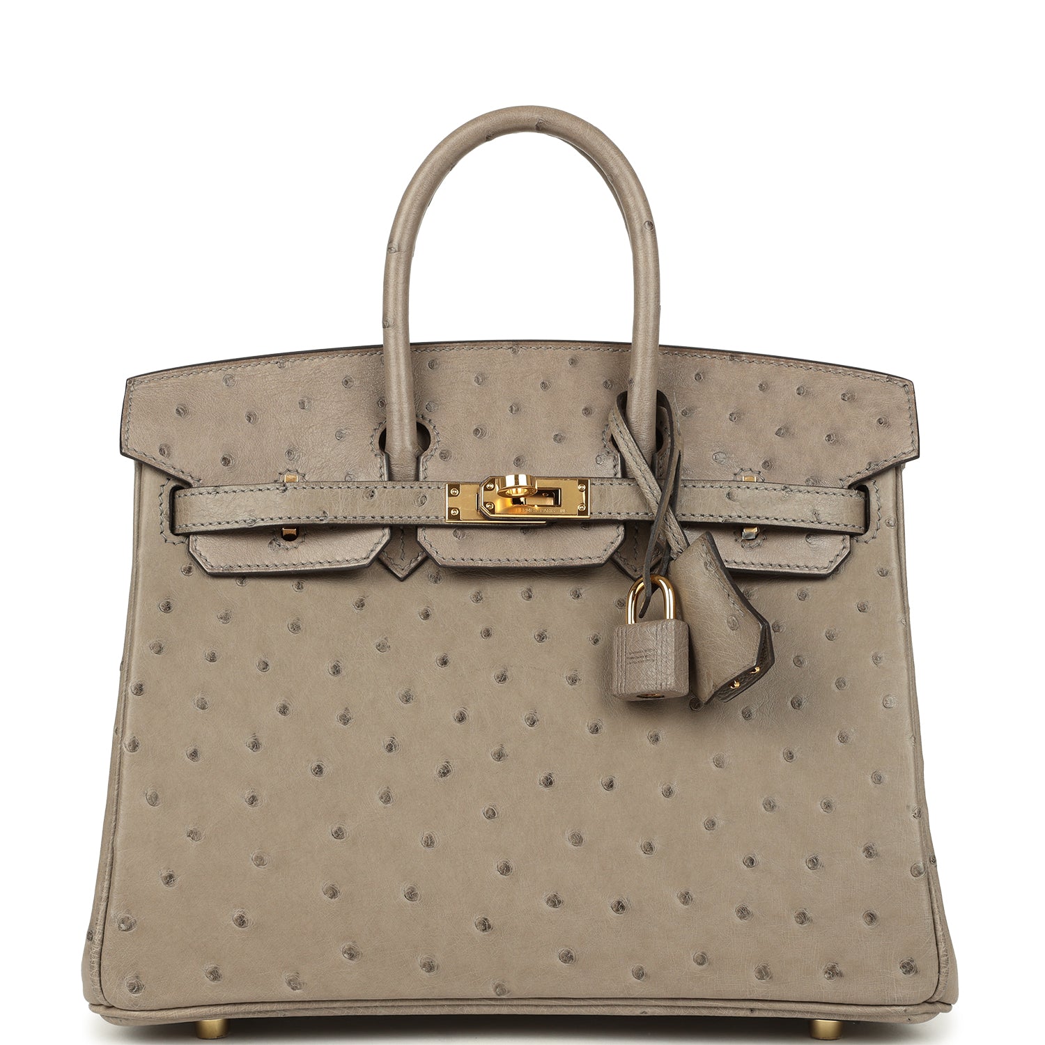 Birkin 25 Gris Tourterelle Ostrich Gold Hardware Bag