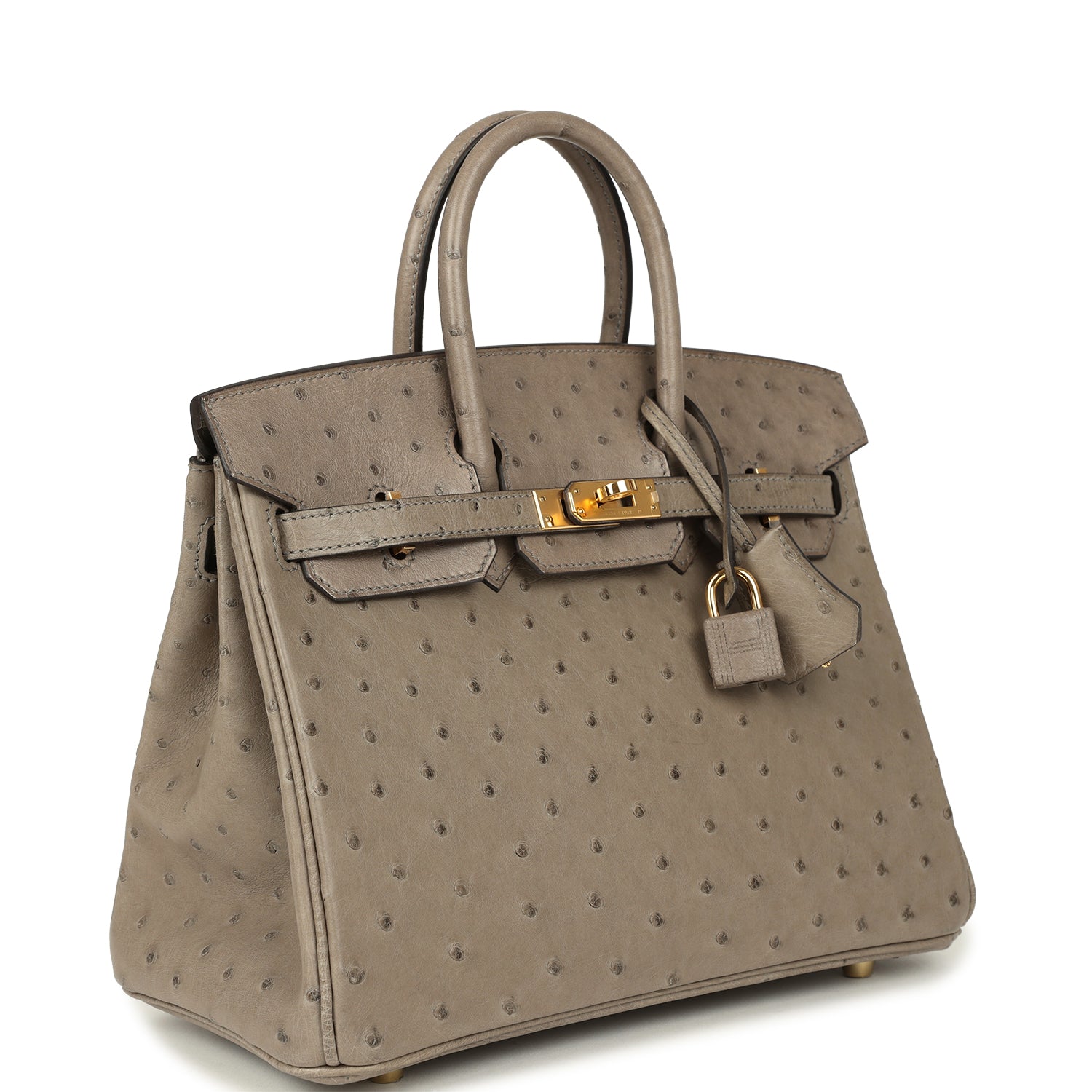 Birkin 25 Gris Tourterelle Ostrich Gold Hardware Bag