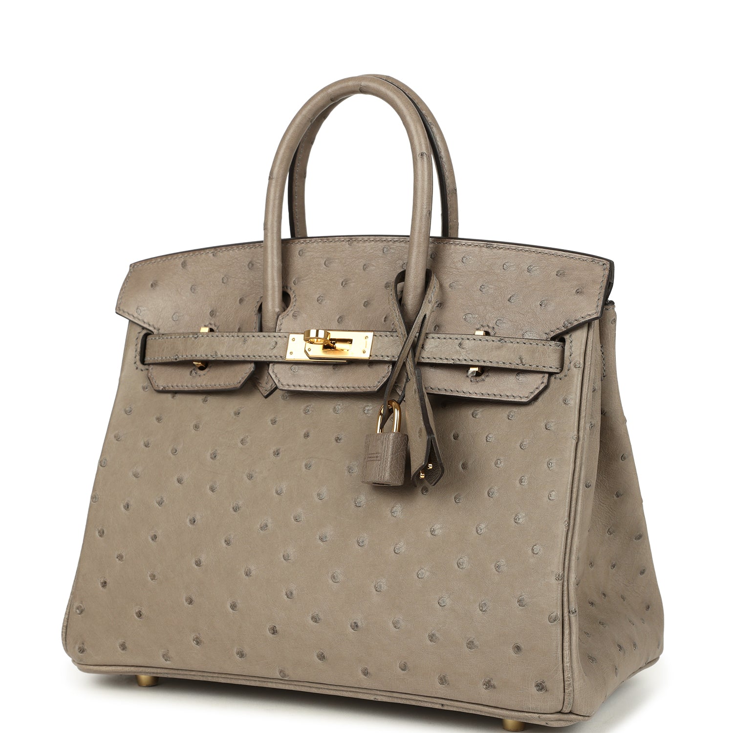 Birkin 25 Gris Tourterelle Ostrich Gold Hardware Bag