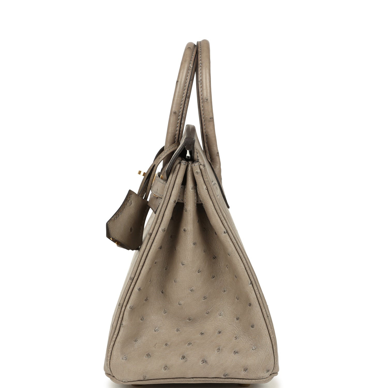 Birkin 25 Gris Tourterelle Ostrich Gold Hardware Bag