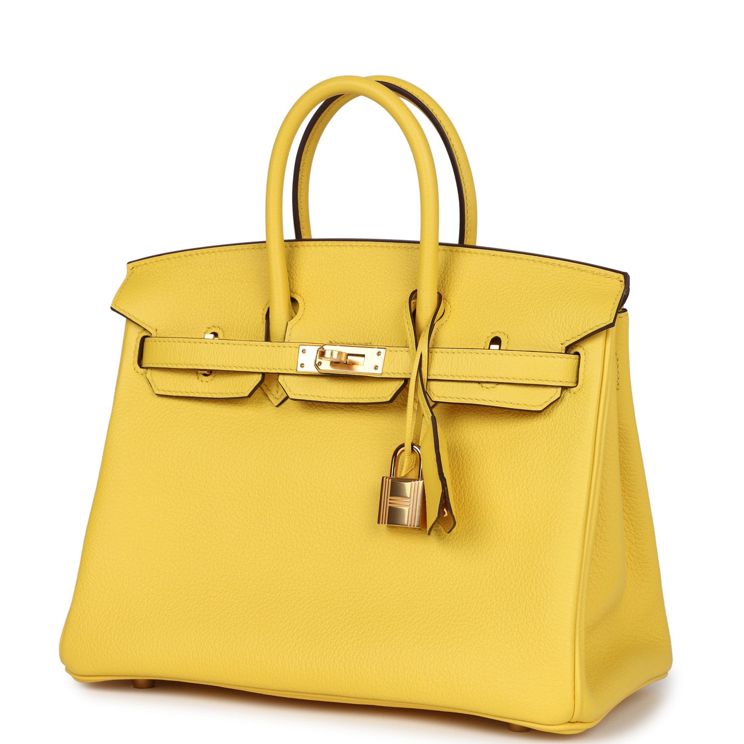 Birkin 25 Jaune de Naples Togo Gold Hardware Bag
