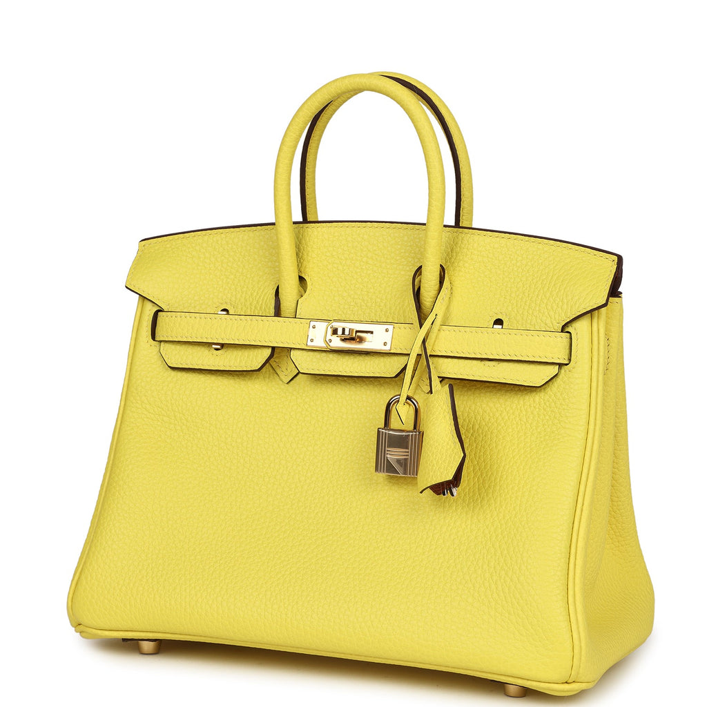 Birkin 25 Lime Verso Clemence Permabrass Hardware Bag
