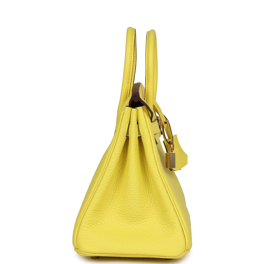 Birkin 25 Lime Verso Clemence Permabrass Hardware Bag
