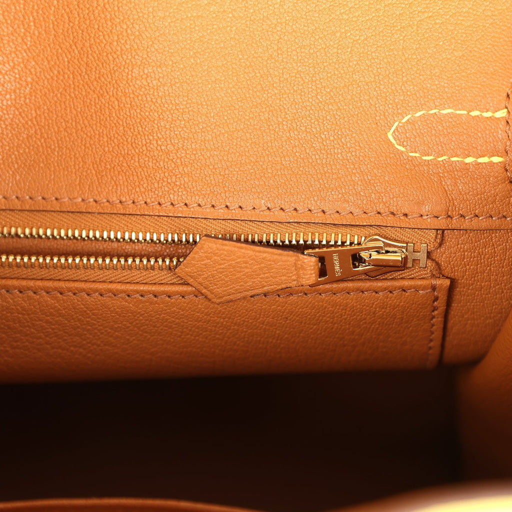 Birkin 25 Lime Verso Clemence Permabrass Hardware Bag