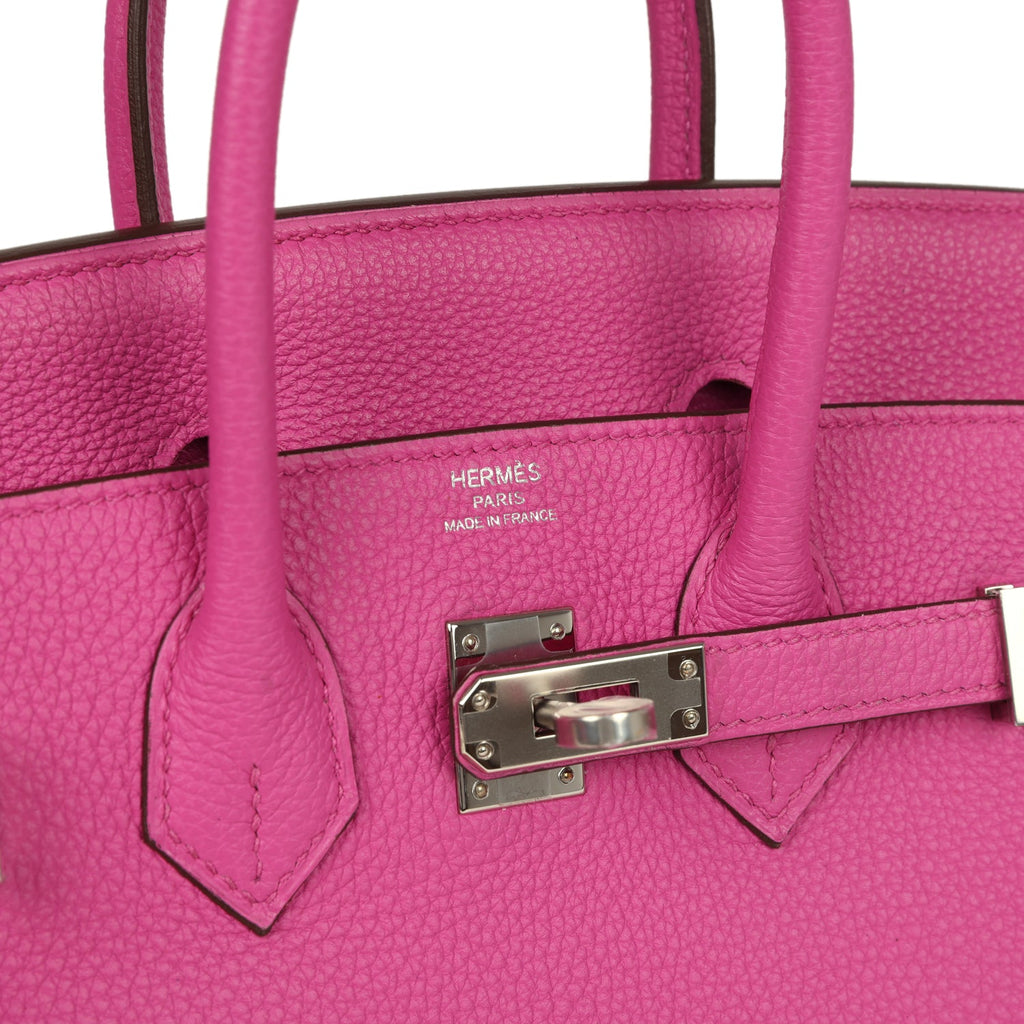 Birkin 25 Magnolia Togo Palladium Hardware Bag