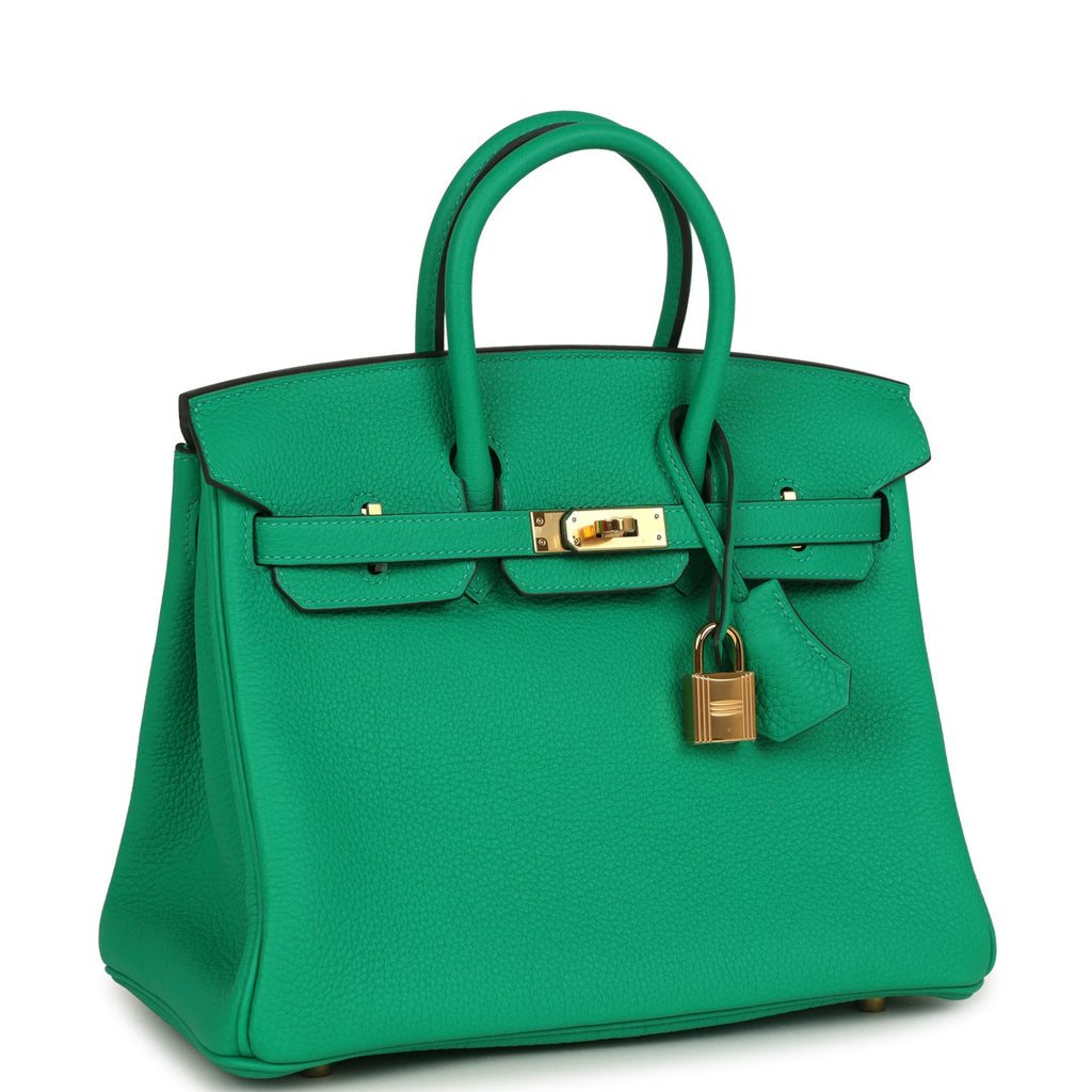 Birkin 25 Menthe Togo Gold Hardware Bag