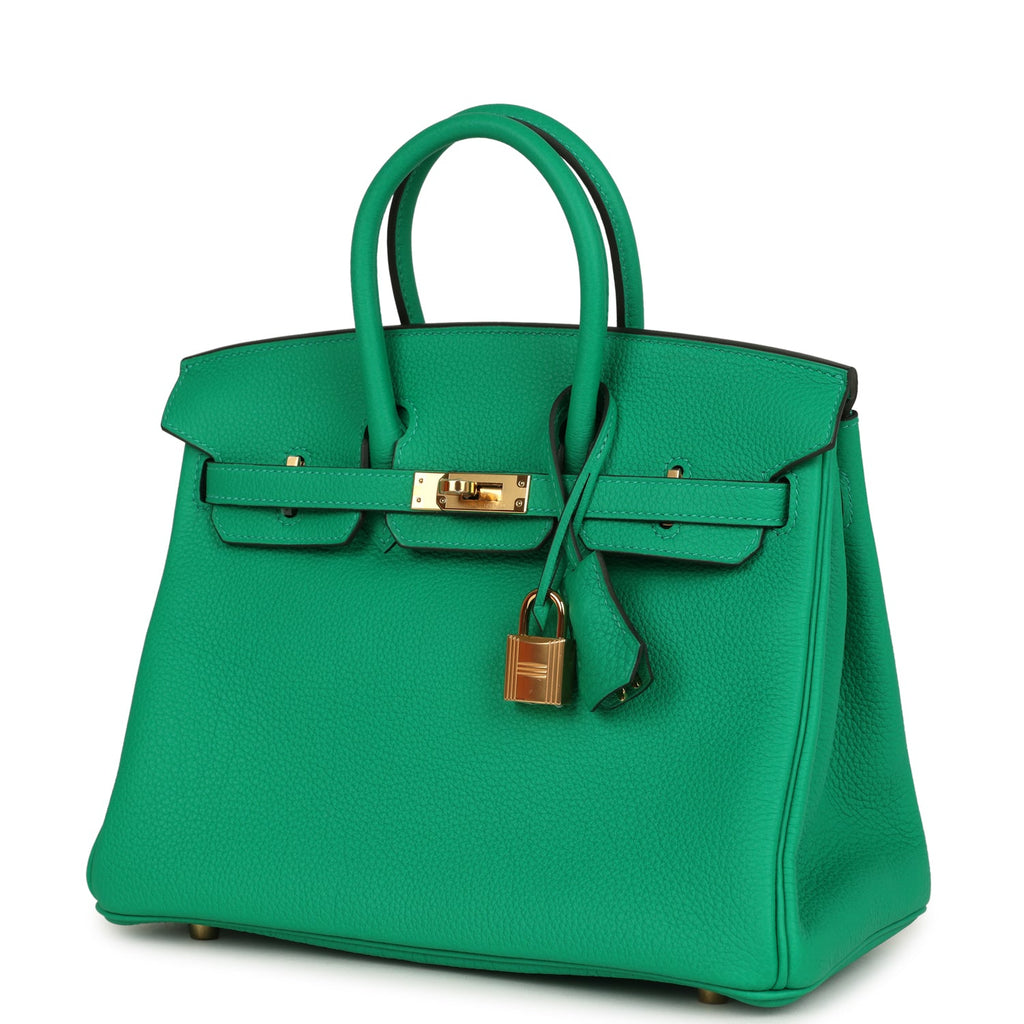 Birkin 25 Menthe Togo Gold Hardware Bag