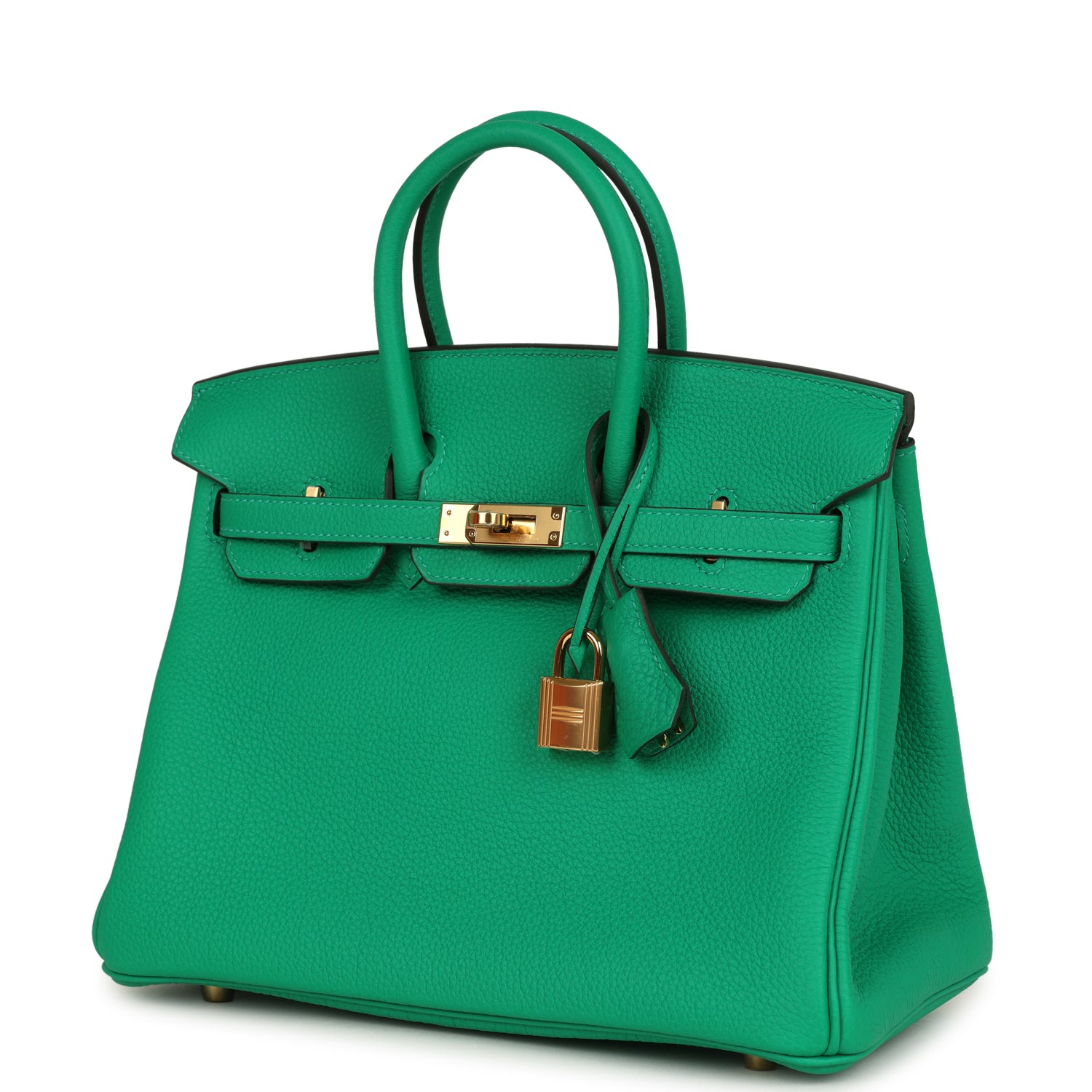 Birkin 25 Menthe Togo Gold Hardware Bag