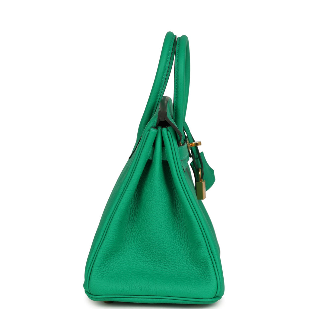 Birkin 25 Menthe Togo Gold Hardware Bag