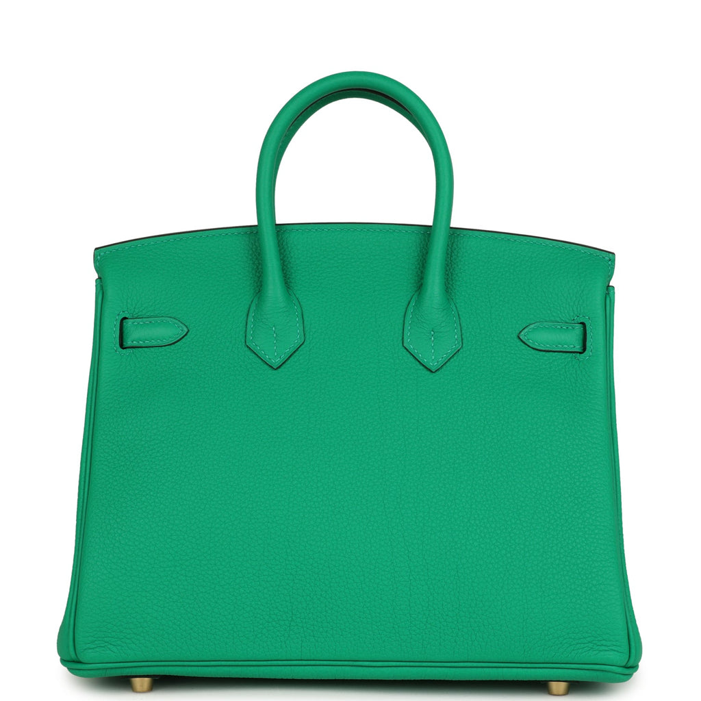 Birkin 25 Menthe Togo Gold Hardware Bag