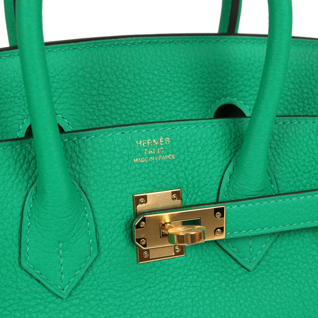 Birkin 25 Menthe Togo Gold Hardware Bag