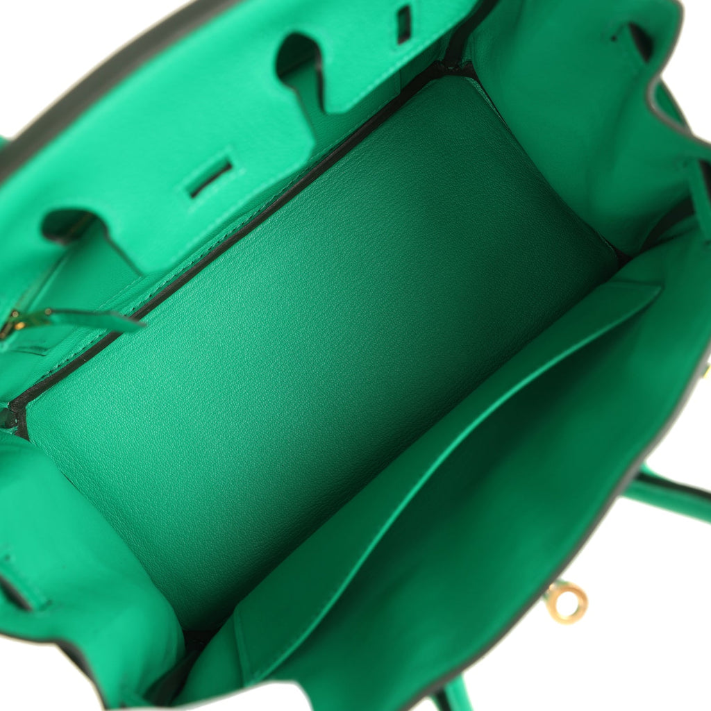 Birkin 25 Menthe Togo Gold Hardware Bag