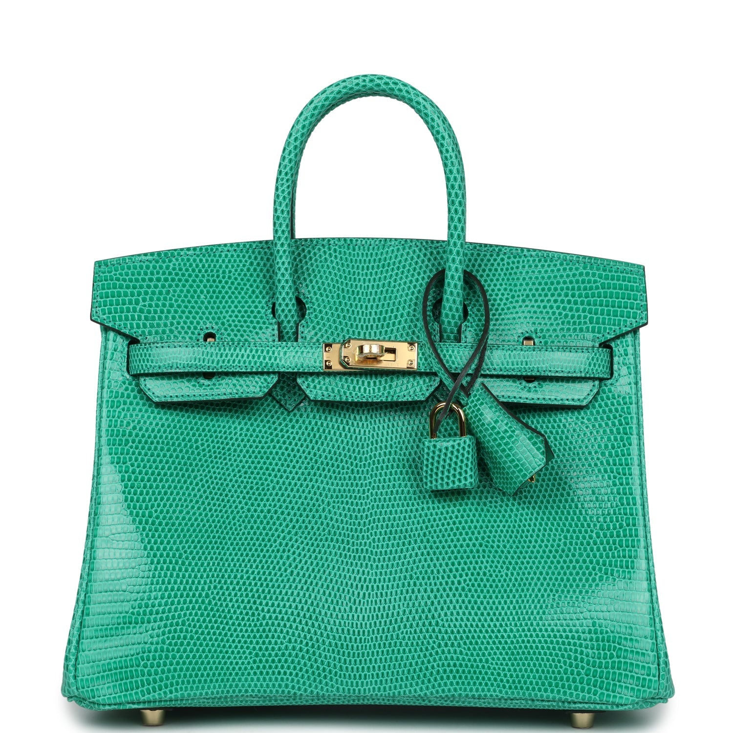 Birkin 25 Menthe Varanus Niloticus Lizard Gold Hardware Bag