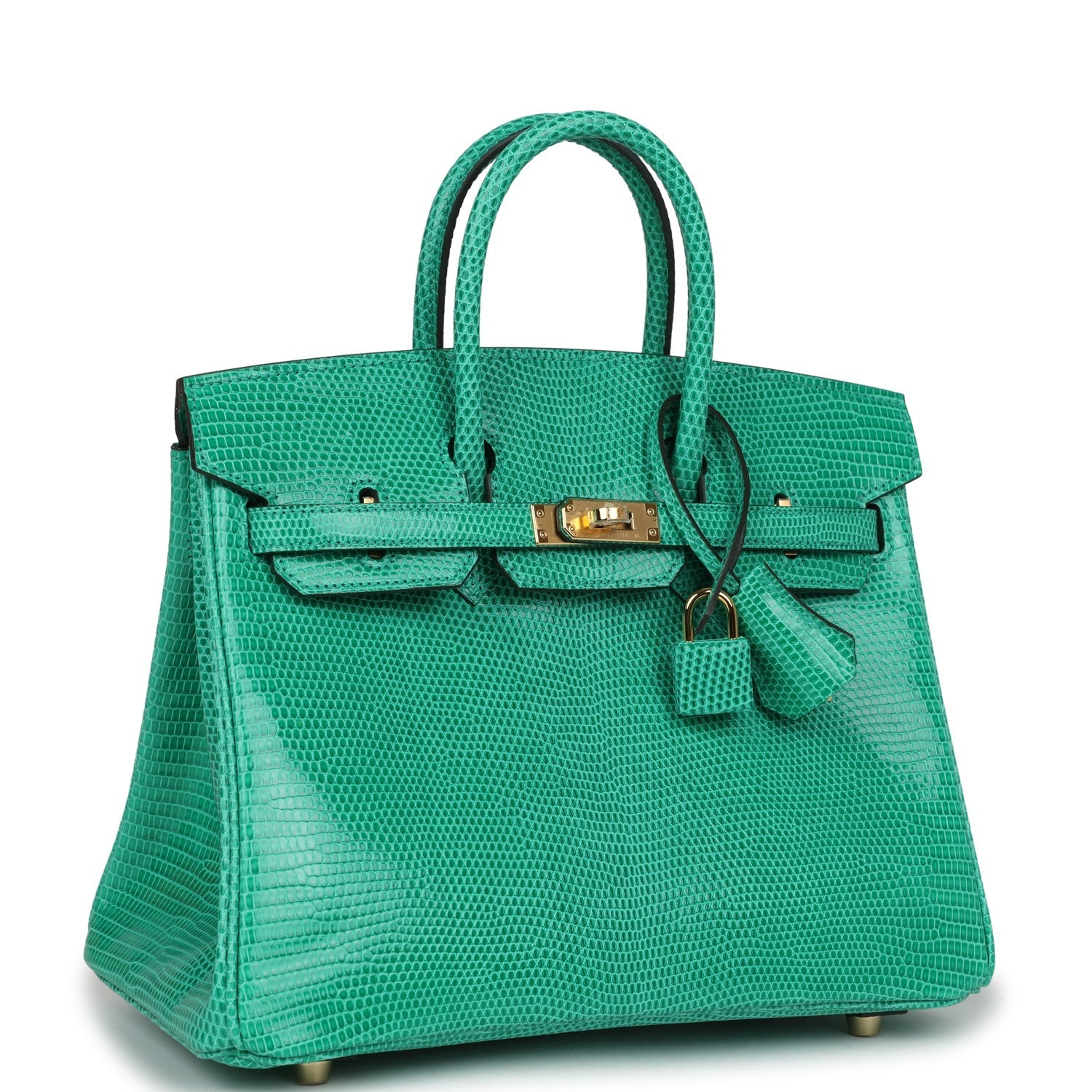 Birkin 25 Menthe Varanus Niloticus Lizard Gold Hardware Bag