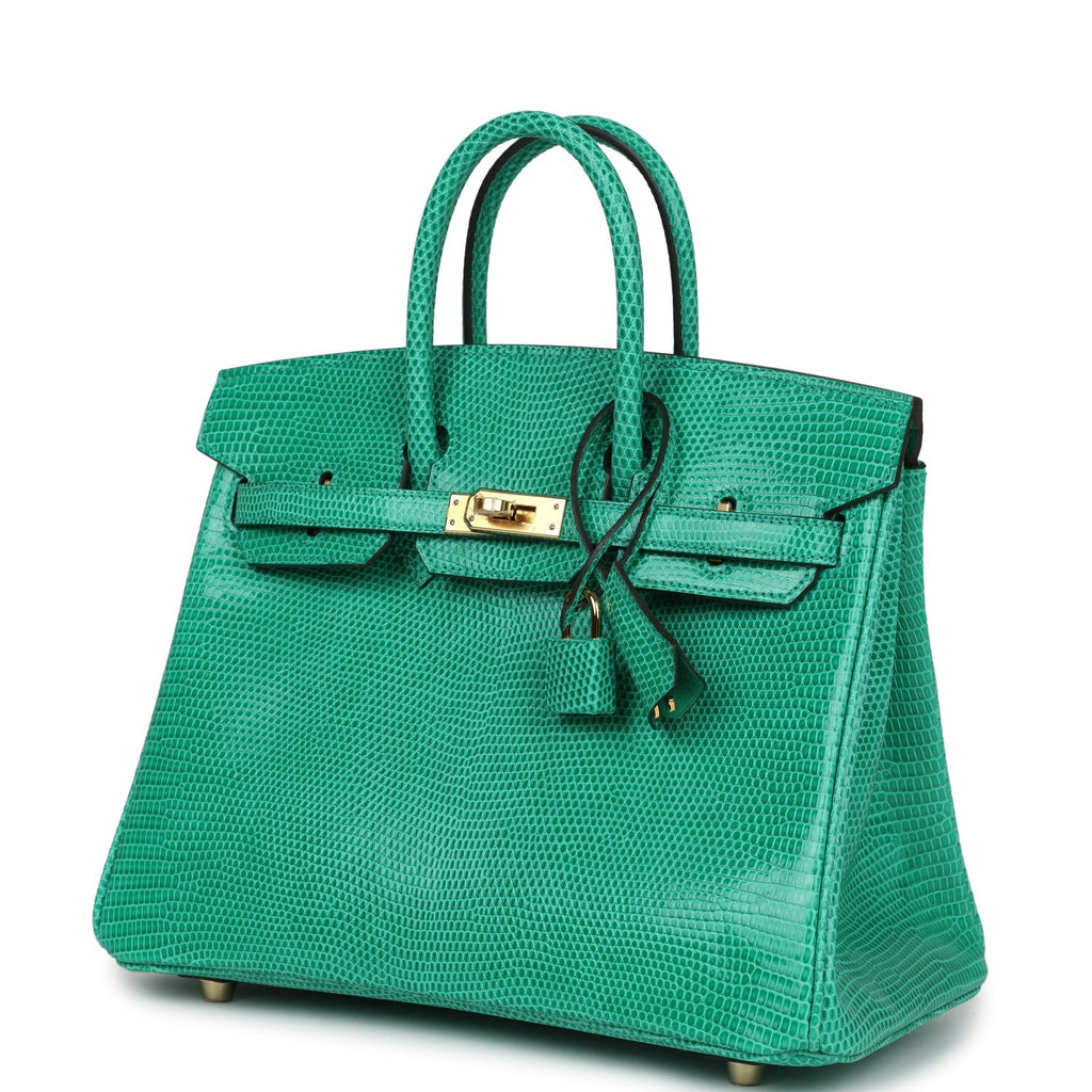 Birkin 25 Menthe Varanus Niloticus Lizard Gold Hardware Bag