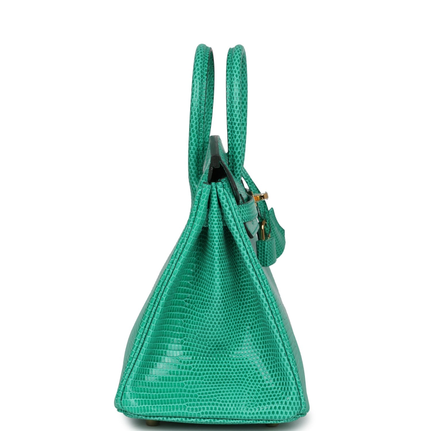 Birkin 25 Menthe Varanus Niloticus Lizard Gold Hardware Bag
