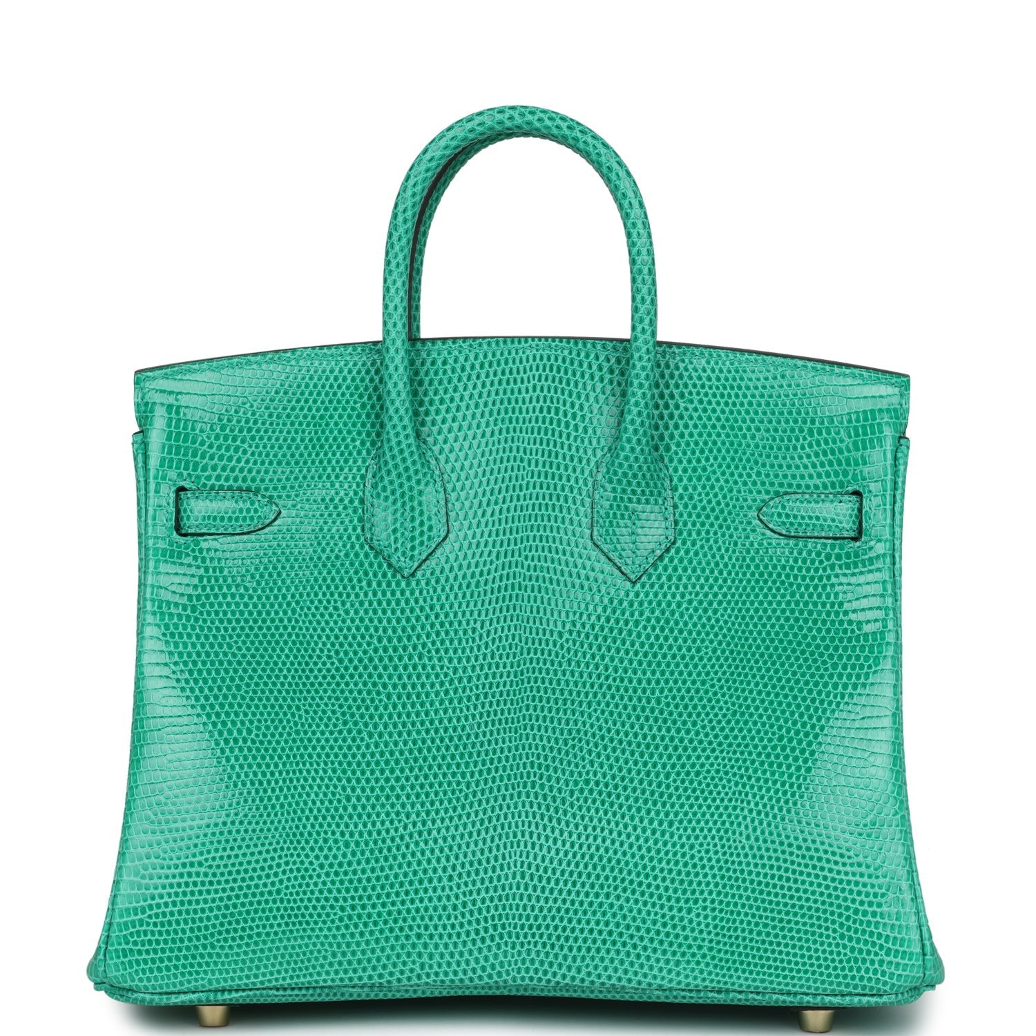 Birkin 25 Menthe Varanus Niloticus Lizard Gold Hardware Bag