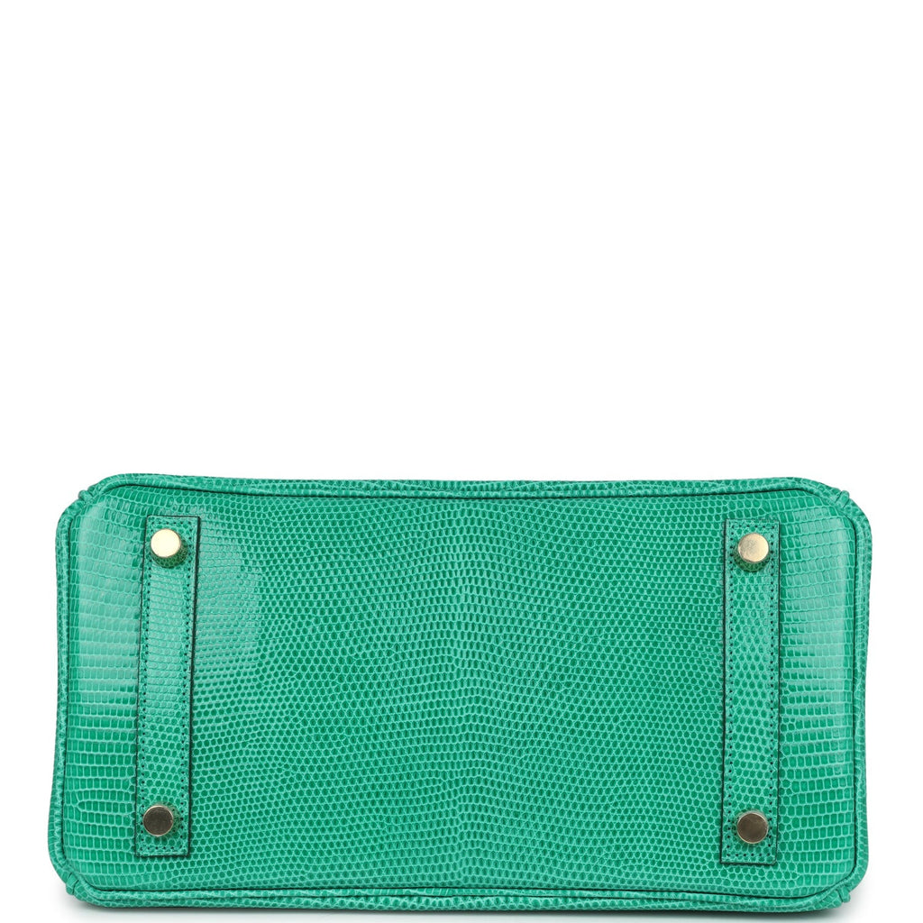 Birkin 25 Menthe Varanus Niloticus Lizard Gold Hardware Bag