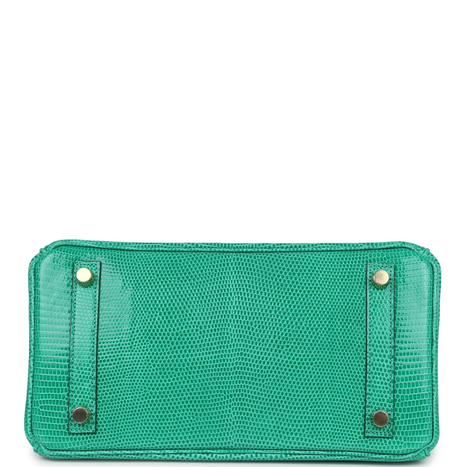 Birkin 25 Menthe Varanus Niloticus Lizard Gold Hardware Bag