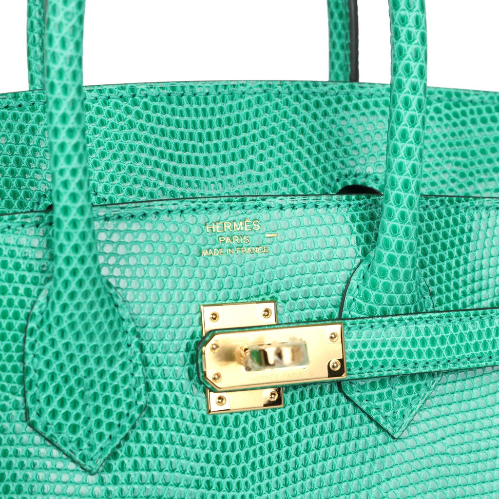 Birkin 25 Menthe Varanus Niloticus Lizard Gold Hardware Bag