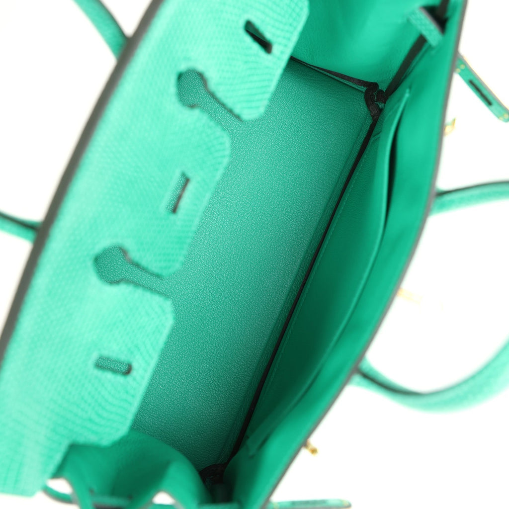 Birkin 25 Menthe Varanus Niloticus Lizard Gold Hardware Bag