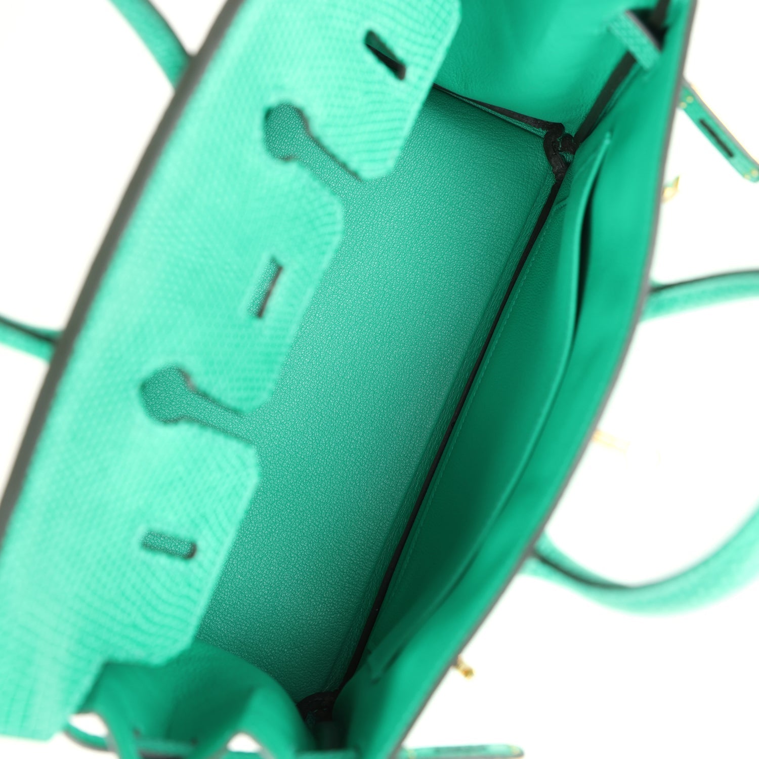 Birkin 25 Menthe Varanus Niloticus Lizard Gold Hardware Bag