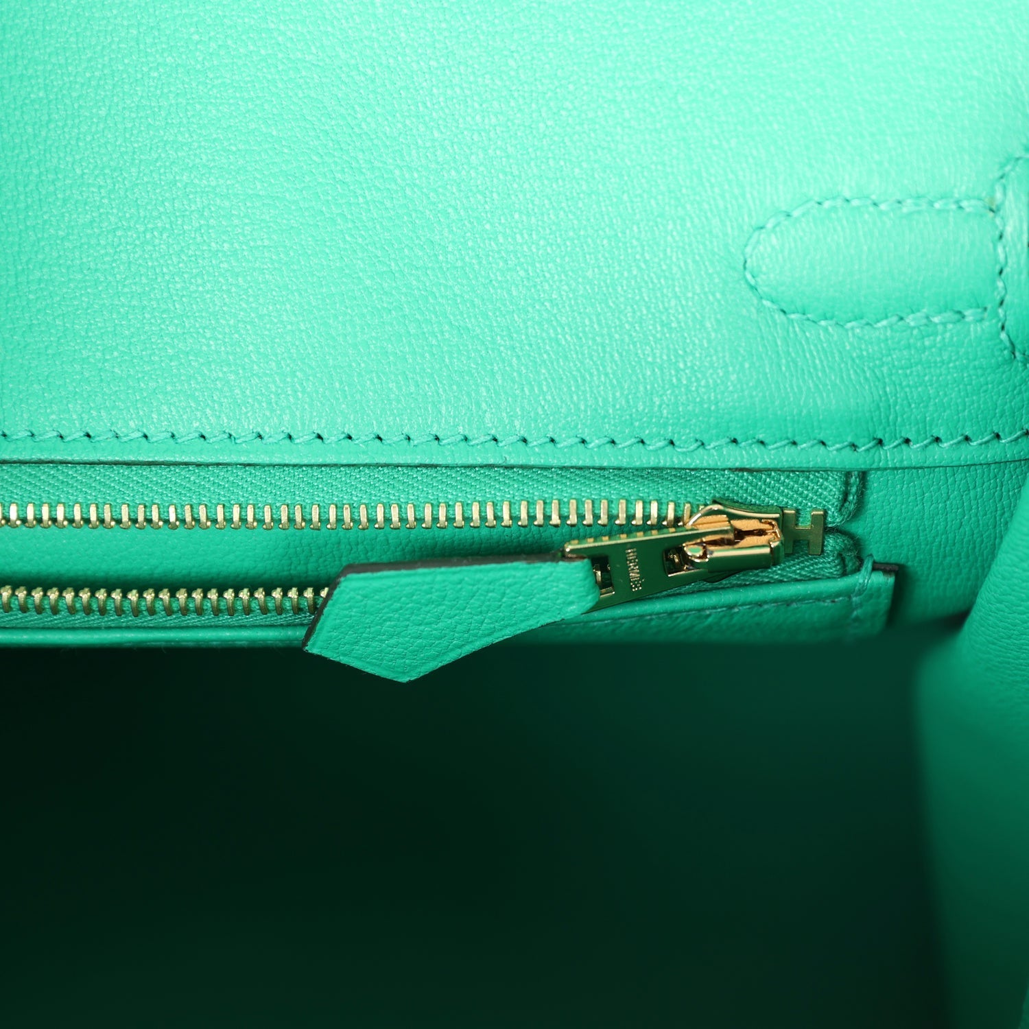 Birkin 25 Menthe Varanus Niloticus Lizard Gold Hardware Bag