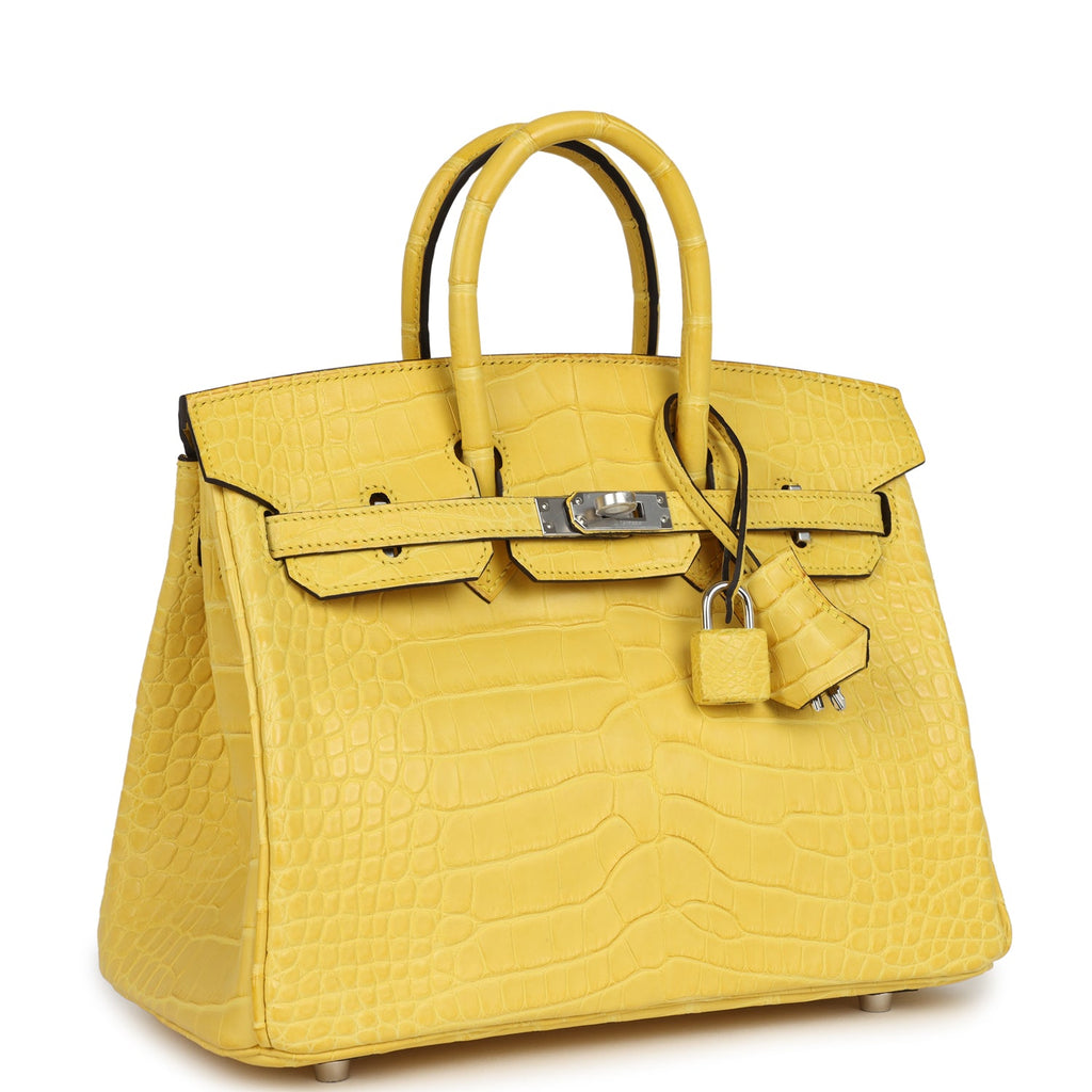 Birkin 25 Mimosa Matte Alligator Palladium Hardware Bag
