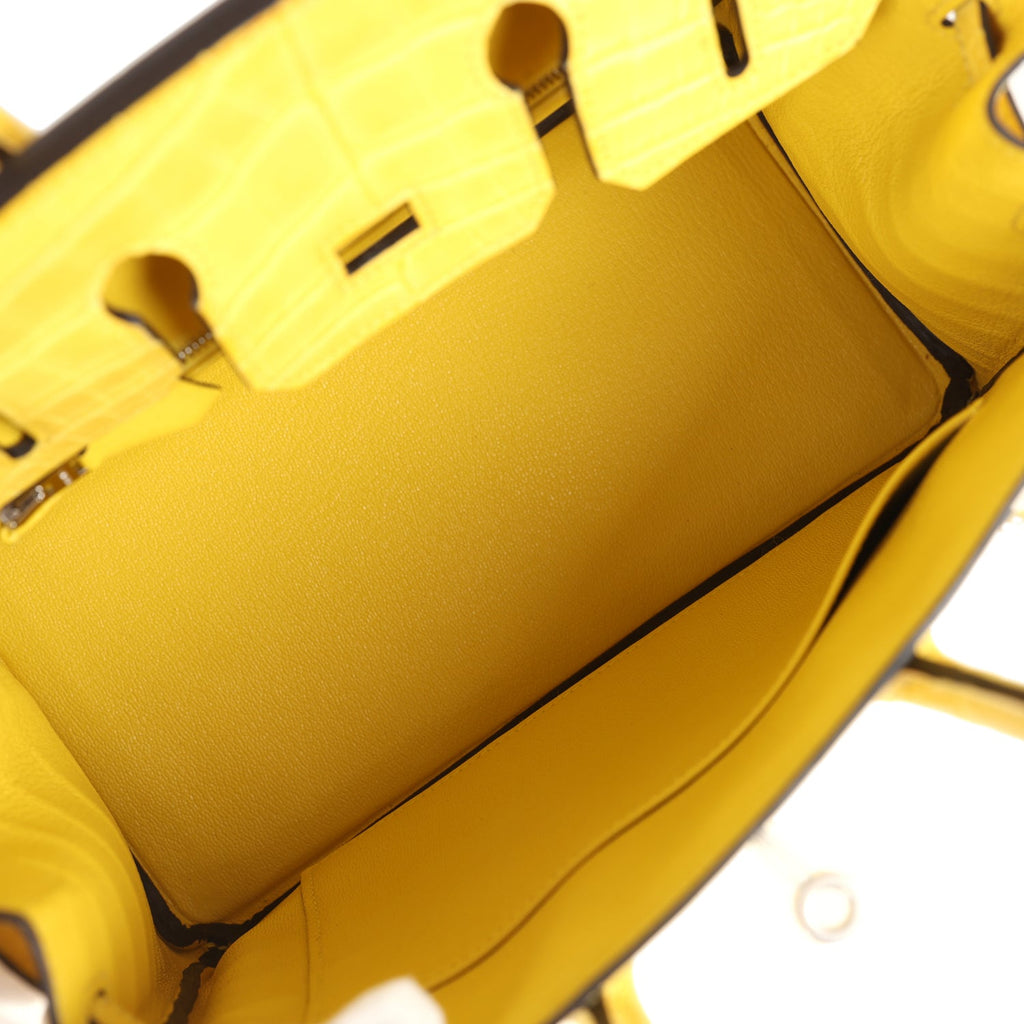 Birkin 25 Mimosa Matte Alligator Palladium Hardware Bag